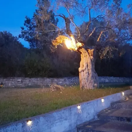 Peaceful Vacations *