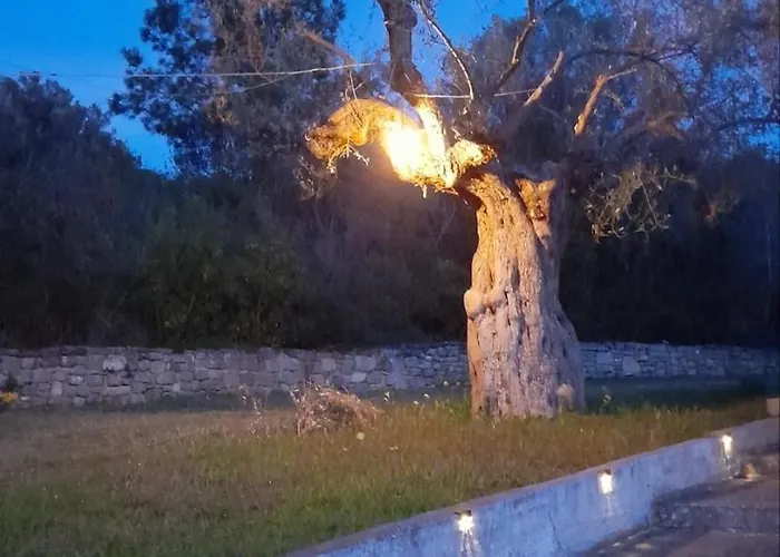 Peaceful Vacations *